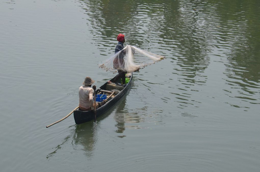 Le Kerala (Inde du Sud) : une facette attachante de l'Inde à découvrir