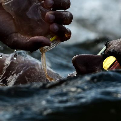 3ème Concours International de la photographie de sport