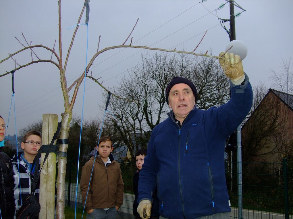 Cours sur la taille des arbres fruitiers 