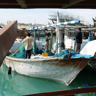 Le Port d'Al Khor