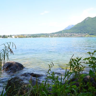 Who The Bitch + TarO&JirO @ Japannecy 26 Mai 2012