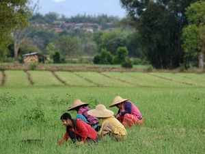 MYANMAR (Birmanie) 🇲🇲