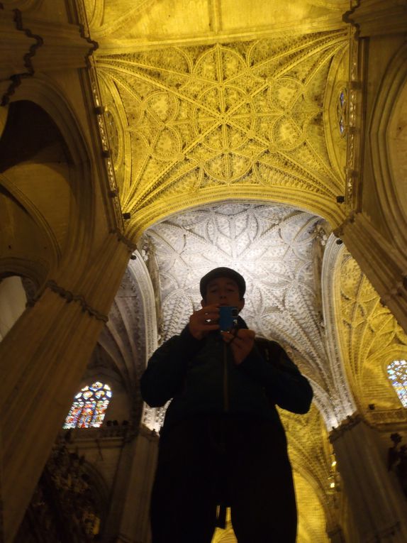 seville,4 jours pass'e là bas.Surment une ds plu beles viles que j'ai visité,où que l'on pose les yeux on en prend plein la vue.Le climat etait meilleur,ben qu'humide, ce qui m'aura permis de profiter de la ville au maximum.