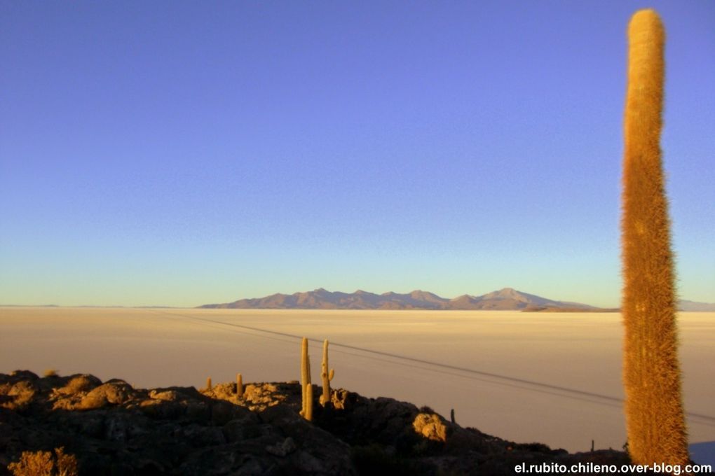 Levé de soleil depuis la Isla de Incahuasi. Traversé d'une des merveilles naturelles du monde. Le plus grand désert de sel du monde. Du blanc à perte de vue et un ciel bleu extraordinaire.