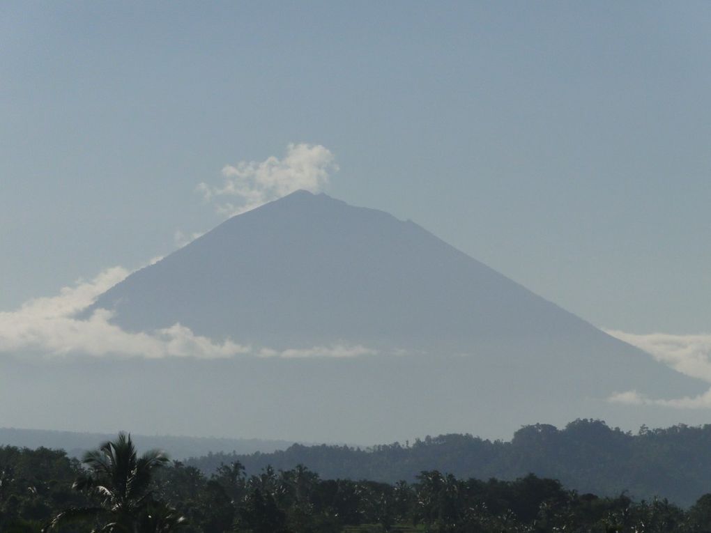 Album - 2010-06-10-BALI-SUITE