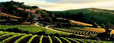 # Le Vineyards de La vallée de Barossa : Australie Méridionale