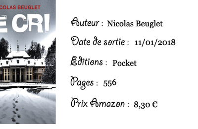 #4 Le cri - Nicolas Beuglet