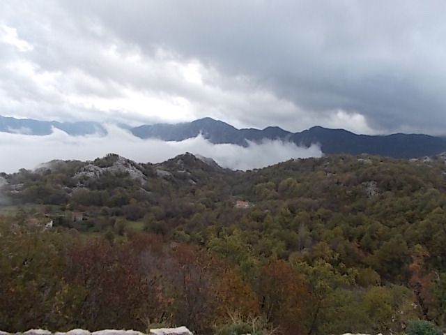 on ne se lasse pas de STEVI STEFAN....le lac Skadar , sa forteresse à Virpazar, et les merveilleuses bouches de Kotor et ses nombreux martins-pêcheurs