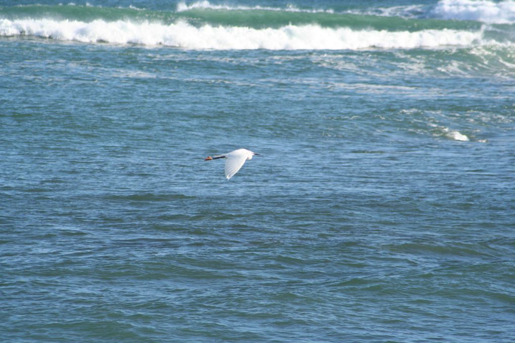 Mes photos de novembre... Le mois noir en breton !