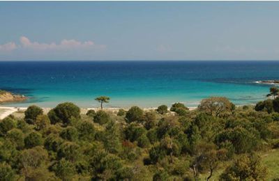 Marais de Lavu Santu et littoral de Fautea Commune de Zonza (Corse du Sud)