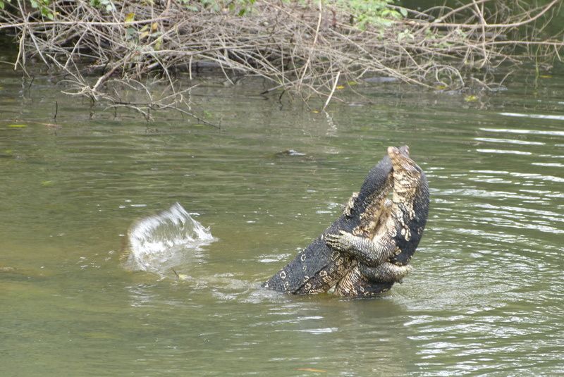 Album - Sri-Lanka