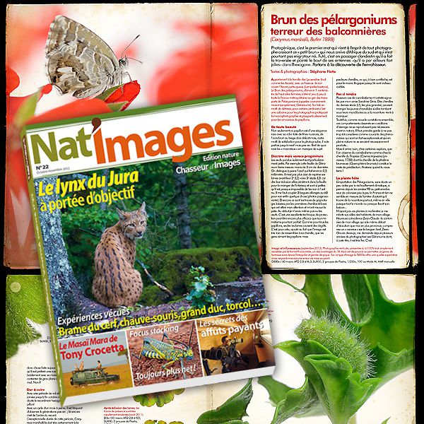 Nat'Images, la revue nature avec un œil de lynx...