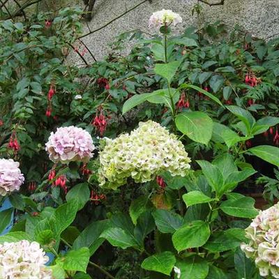 C'est encore l'été! (1)