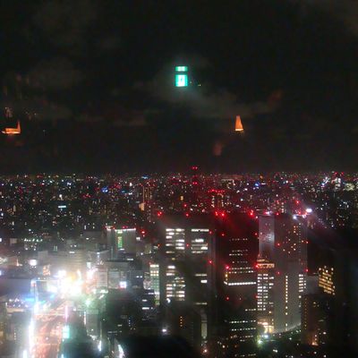 Energetic Tokyo Megapolis Lights 1 in May 2009