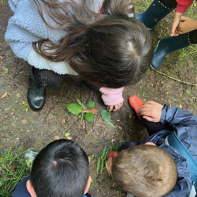 Les Explorateurs du Parc à Bussière-Galand - Sortie : mission Insectes 