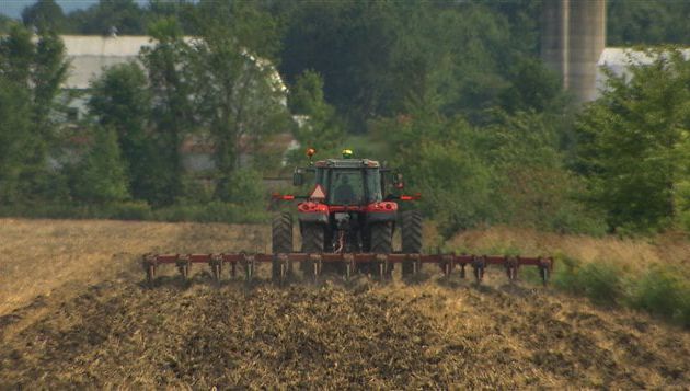 Des demandes d'embauche sans réponse inquiètent les agriculteurs du Québec