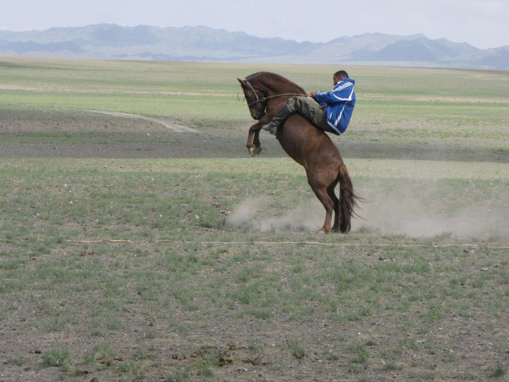 Album - mongolie-0722