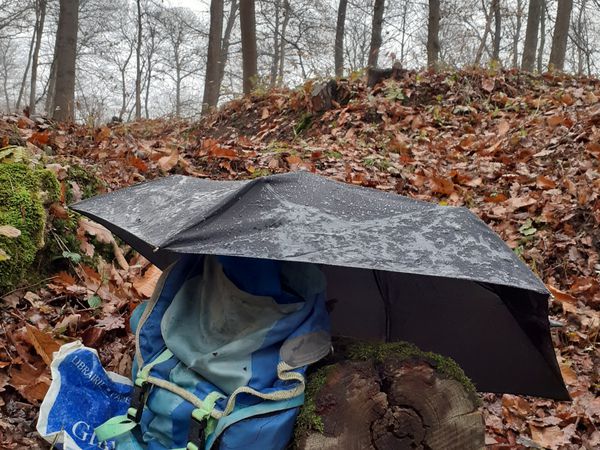 Le 5 décembre, nous sommes 17, sous une "petite neige pluvieuse", comme le remarque Sandra. Sous les feuilles se découvrent des petits champignons, puis une grosse souche ! Elle est minutieusement dégagée de la terre accumulée, par Pierre F., Gérard et Jean-Luc.