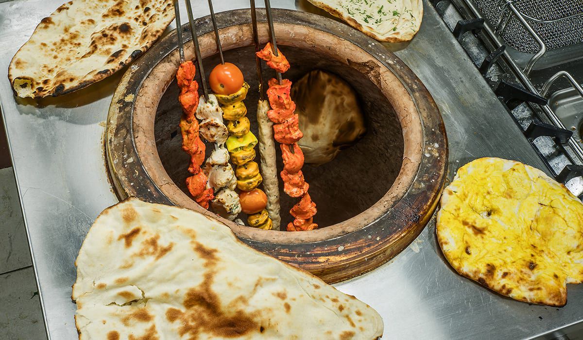 Best Electric Tandoor Brands - Electric Grill