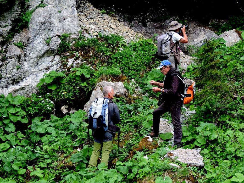 Visite des rochers calcaires