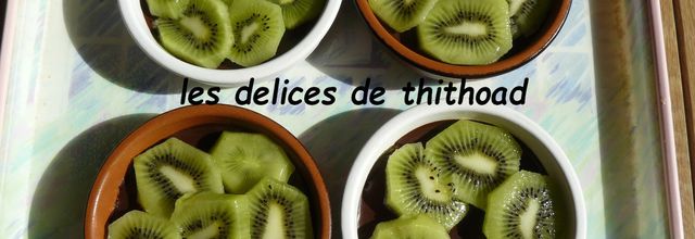 tartelettes chocolat-kiwi