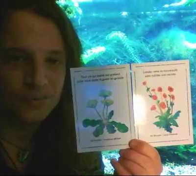 Conseils Angéliques pour la semaine du 11/12/2017 au 17/12/2017 ******