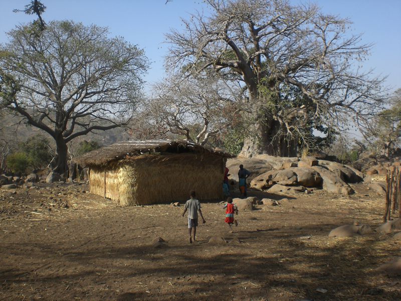 Album - Iwol--village-Bedik