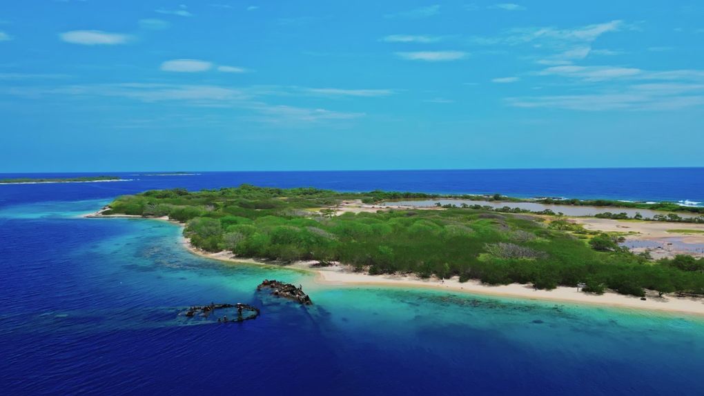 Día Mundial de las Playas desde Puerto Cabello: Un llamado a la acción consciente para la protección