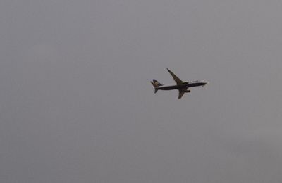 Photo d'avion en vol