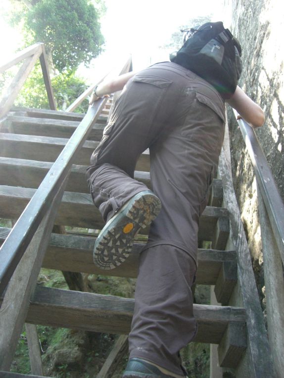 Ruines de Tikal