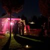 Entresorts burlesque de sorcières: Vox végétalis cabinet de voyance végétale 