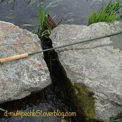 Streamer en semois 12 et 14/04/19