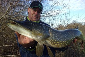 Premier big pike de 2016.