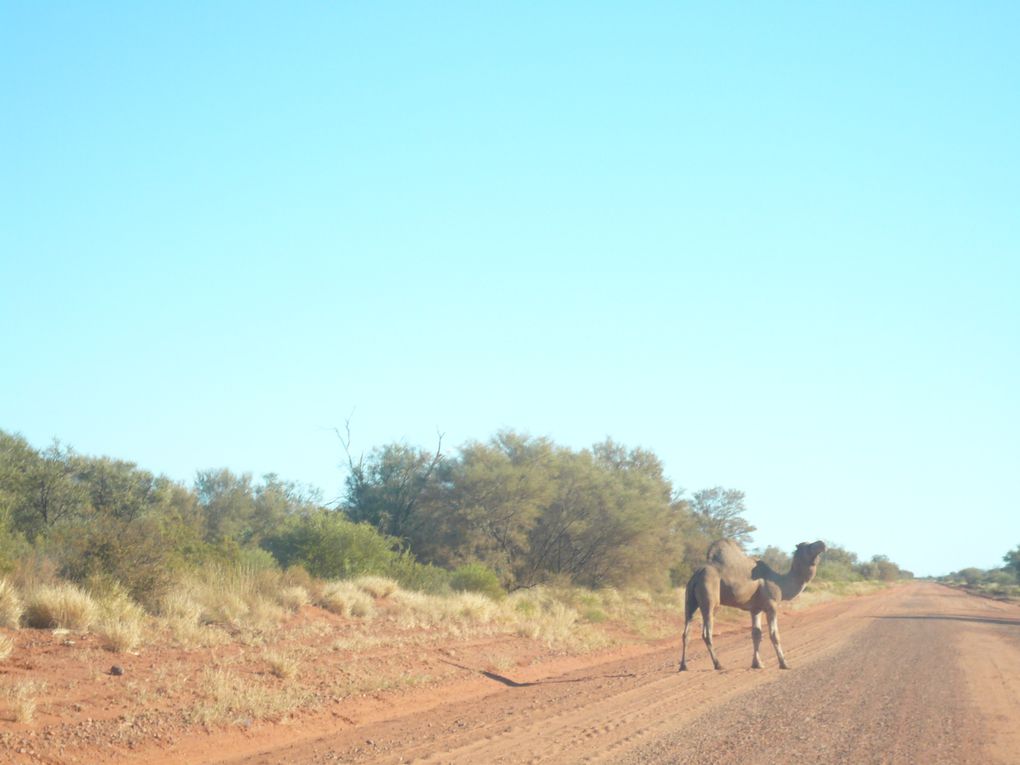 Album - From-Alice-Springs-to-Broome