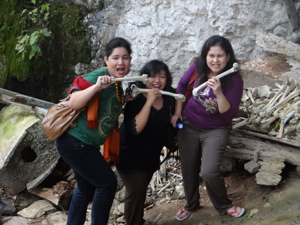 Album SULAWESI--FLORES. 2012
