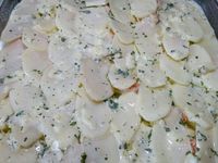 3 - dans un plat à gratin disposer successivement : une couche de pommes de terre à recouvrir avec une partie de la préparation, une couche de courgette sur laquelle vous viendrez verser une nouvelle couche de l'appareil oeuf/crème, répartir ensuite quelques écrevisses, recouvrir d'une couche de pommes de terre avec un peu d'appareil, puis à nouveau des rondelles de courgette parsemées d'écrevisses avec un peu de préparation, finir enfin avec une dernière couche de pommes de terre et le reste de l'appareil. Garder quelques écrevisses pour la décoration après cuisson du plat. Enfourner pour 40 à 45 m th 6,5 (200°) en surveillant. Le gratin doit être bien doré et fondant.  