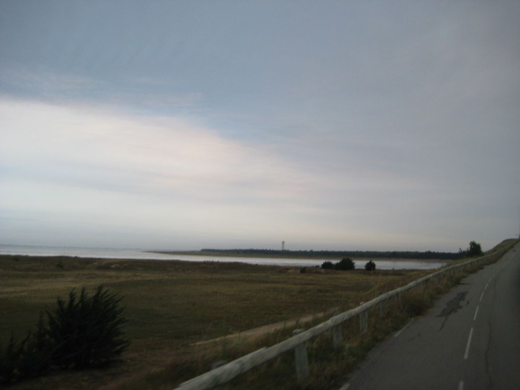 Le pont qui mène à l'ile. Les sentiers.