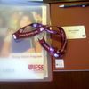 IESE - Young Talent Program