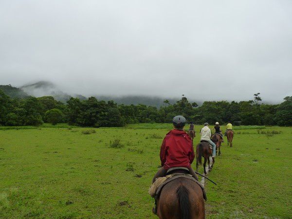 Album - CT - NightWalk + HorseRiding