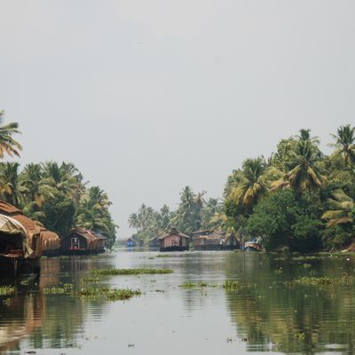 Kerala - Kumarakom : avant derniere etape