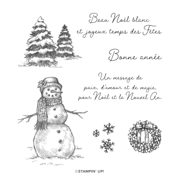Carte De Voeux Noel Enneigee Sous Un Manteau Blanc Stampin Up Stampin Francoise