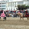 Royan : al Andaluz (video)