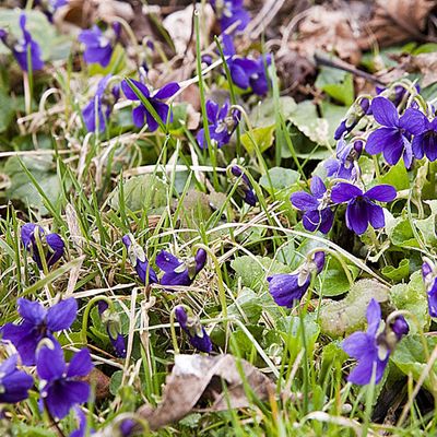 BIENVENUE AUX NOUVELLES ABONNEES