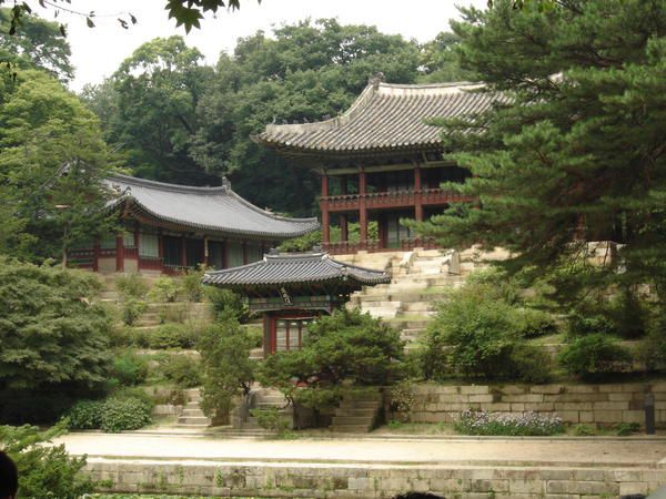 Album - Chaedeokgung Palace