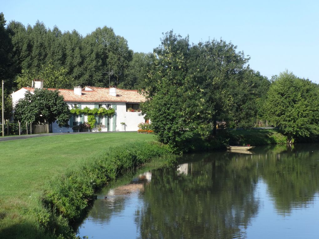 La Vendée - 1. Le Mazeau