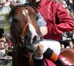 Richard Hannon