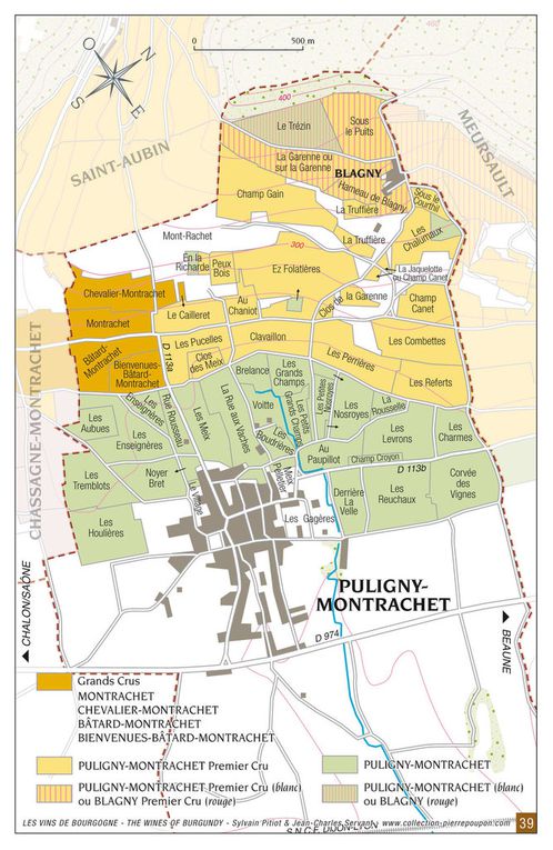 Les vignobles Puligny-Montrachet et Chassagne-Montrachet 