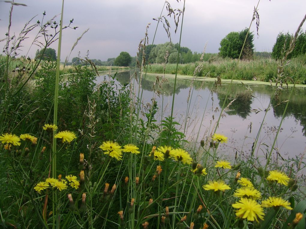 mers du nord ecluses etangs paysages