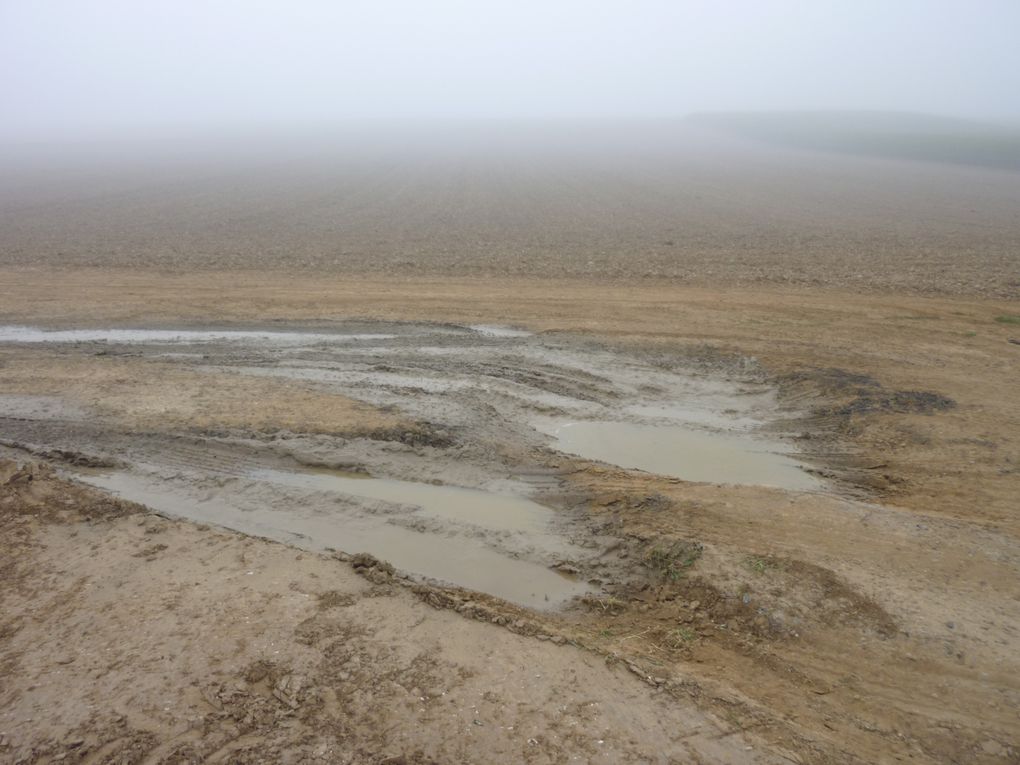 Album - ZAC_Chemins_agricoles_dégradés