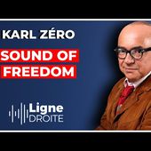 Sound of Freedom : le film le plus détesté des médias mainstream ! - Karl Zéro
